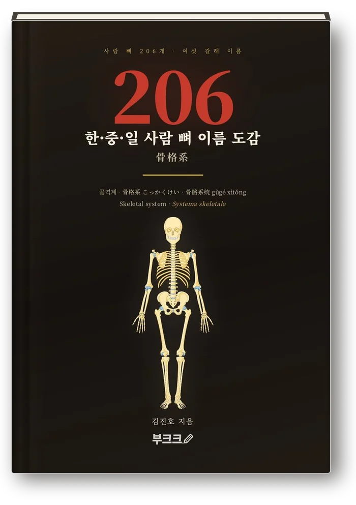 한·중·일 사람 뼈 이름 도감 206 표지
